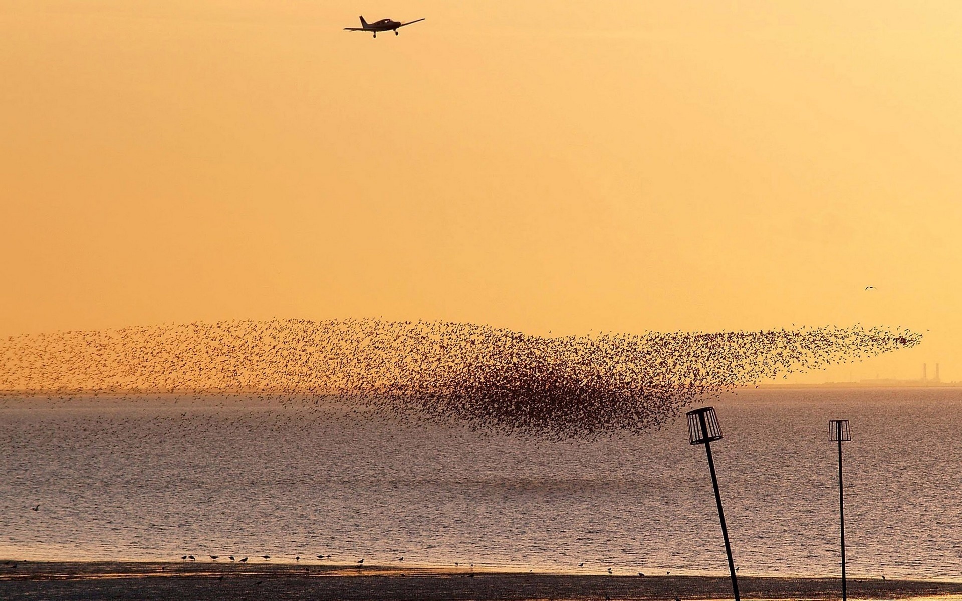 aviazione tramonto spiaggia alba acqua mare sera oceano paesaggio sole mare illuminato crepuscolo sabbia cielo uccello viaggi nebbia luce luce diurna