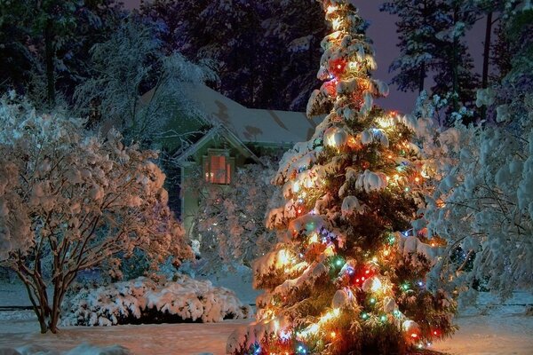 A decorated Christmas tree in the winter forest