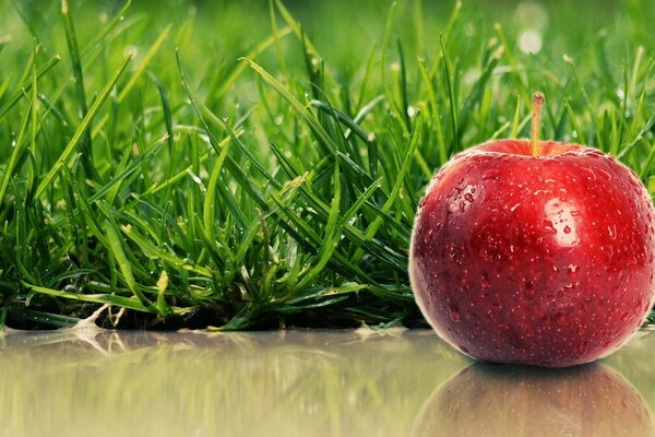 A wet apple on the grass