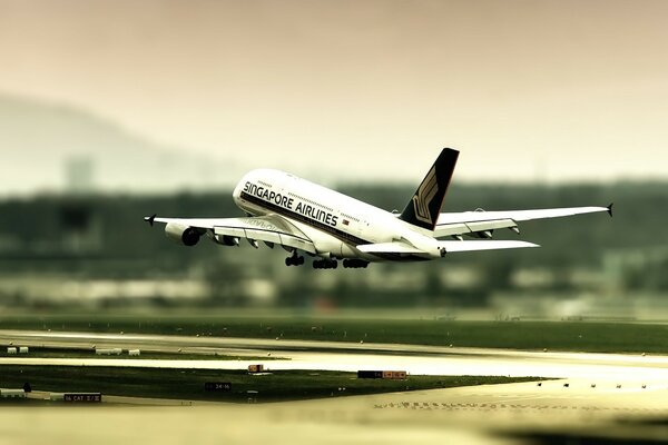 A plane taking off from the airport on a blurry background