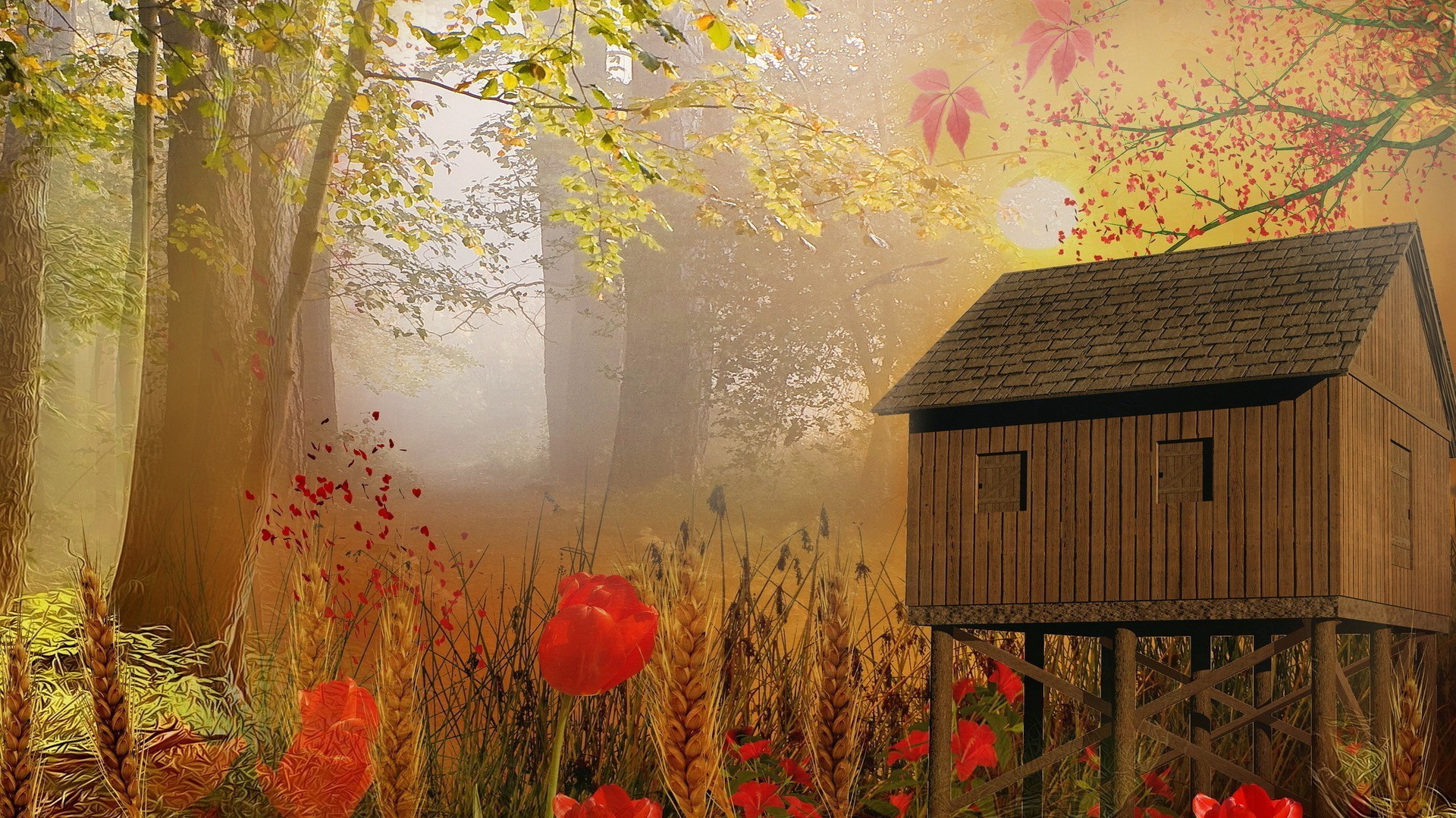 paesaggio autunno legno foglia natura casa paesaggio albero stagione all aperto campagna rurale colore erba