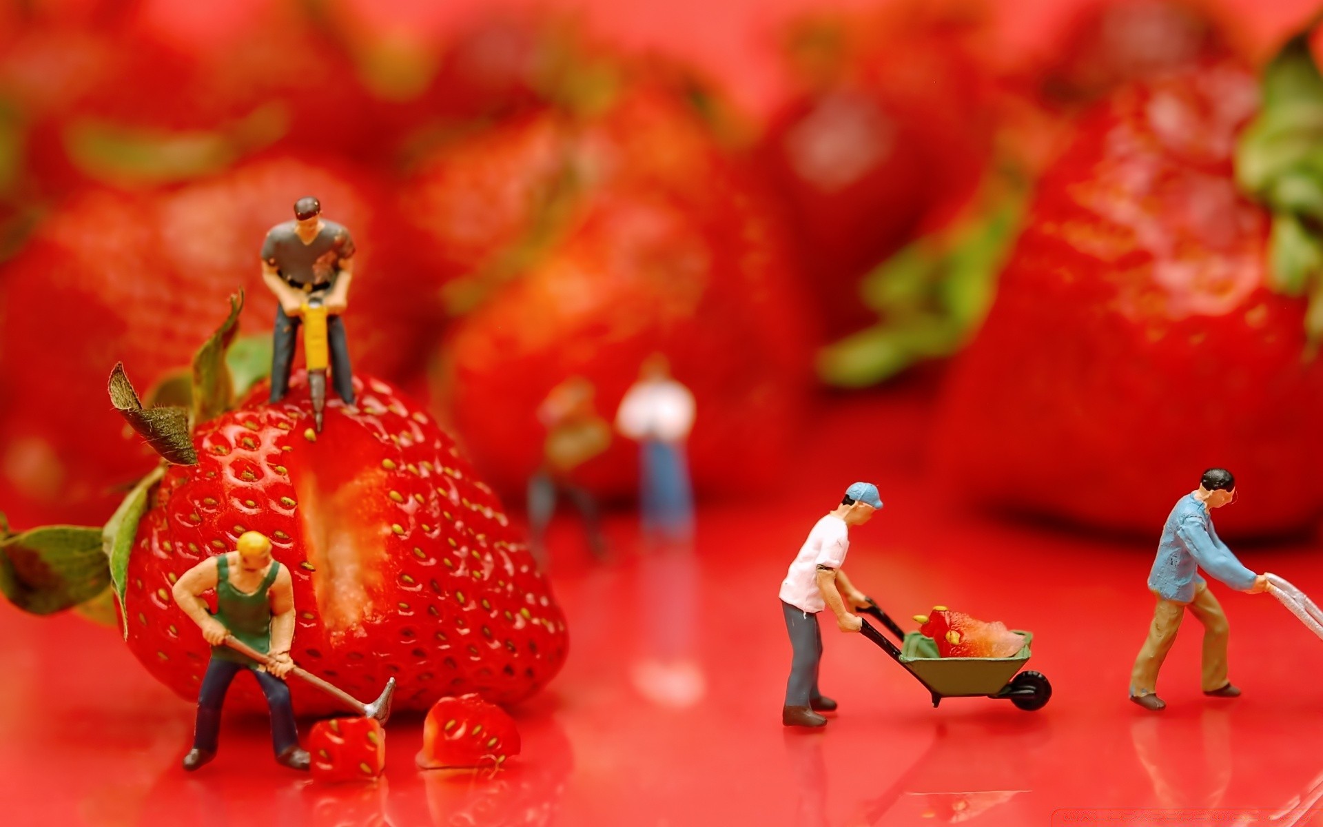 makroaufnahme essen obst wachsen