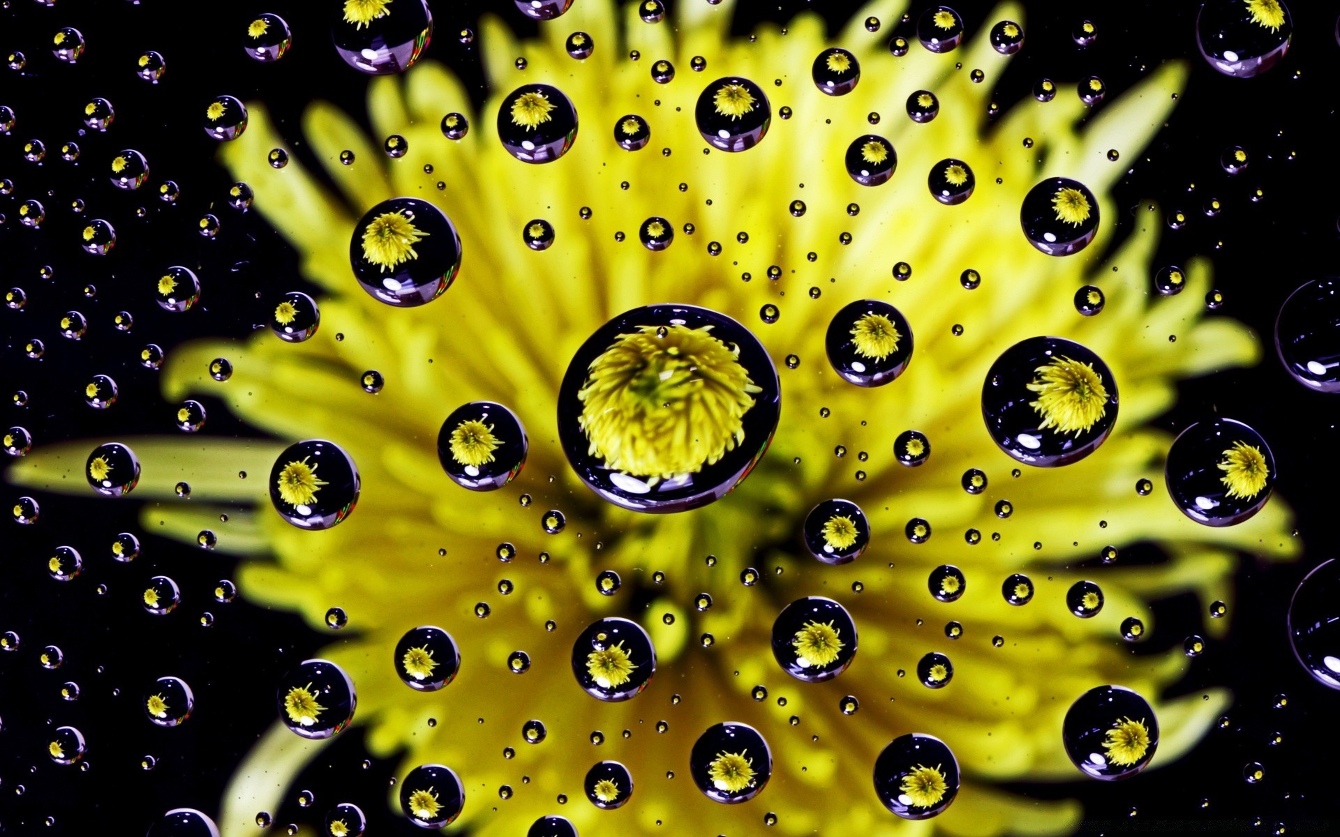 macro pioggia caduta bolla rugiada acqua bagnato splash gocce astratto liquido pulito turchese bere desktop splende texture riflessione rugiada chiaro