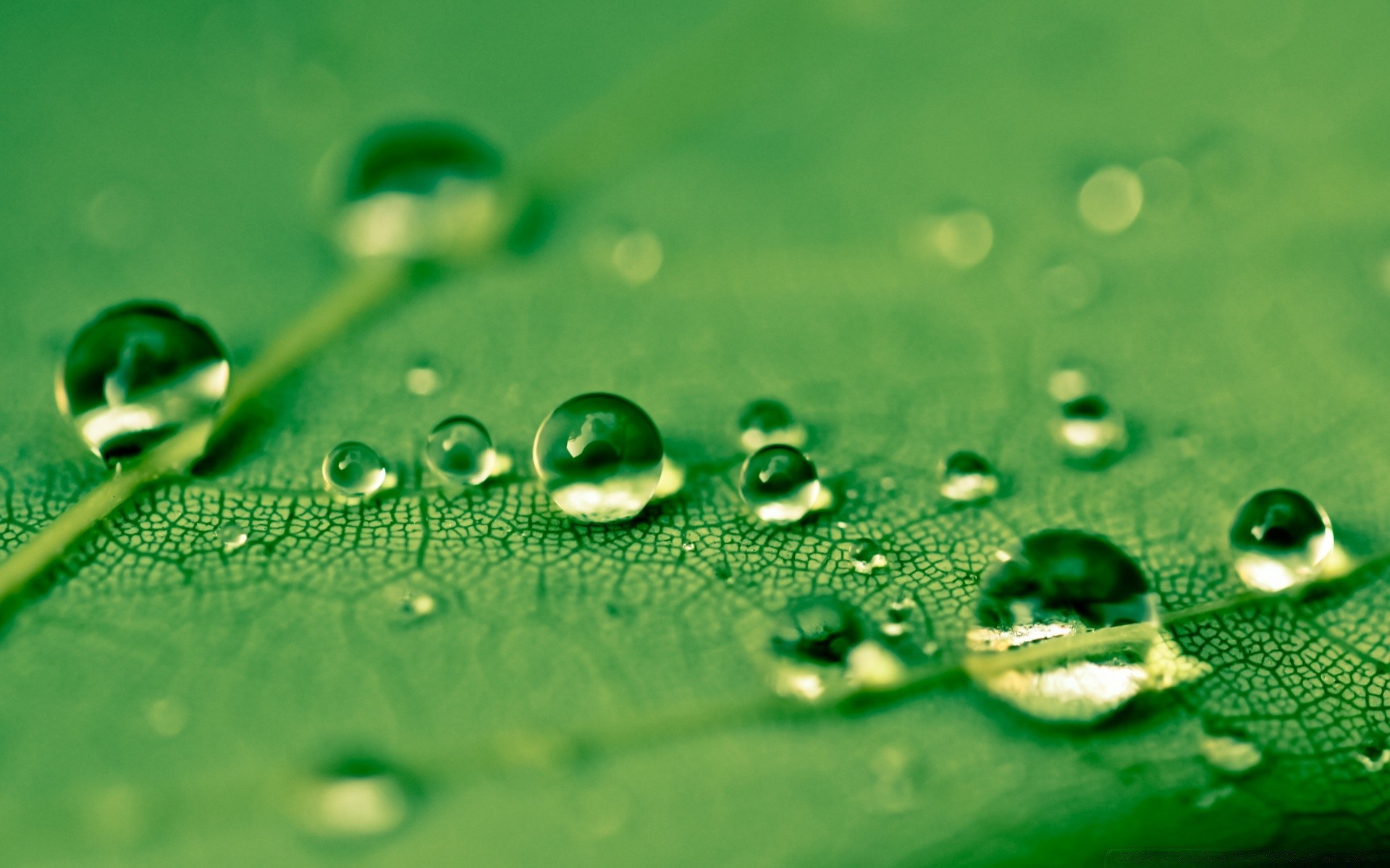 macro goutte rosée pluie humide gouttes liquide eau propre clair propreté bulle splash gouttes goutte d eau turquoise réflexion propre lavage