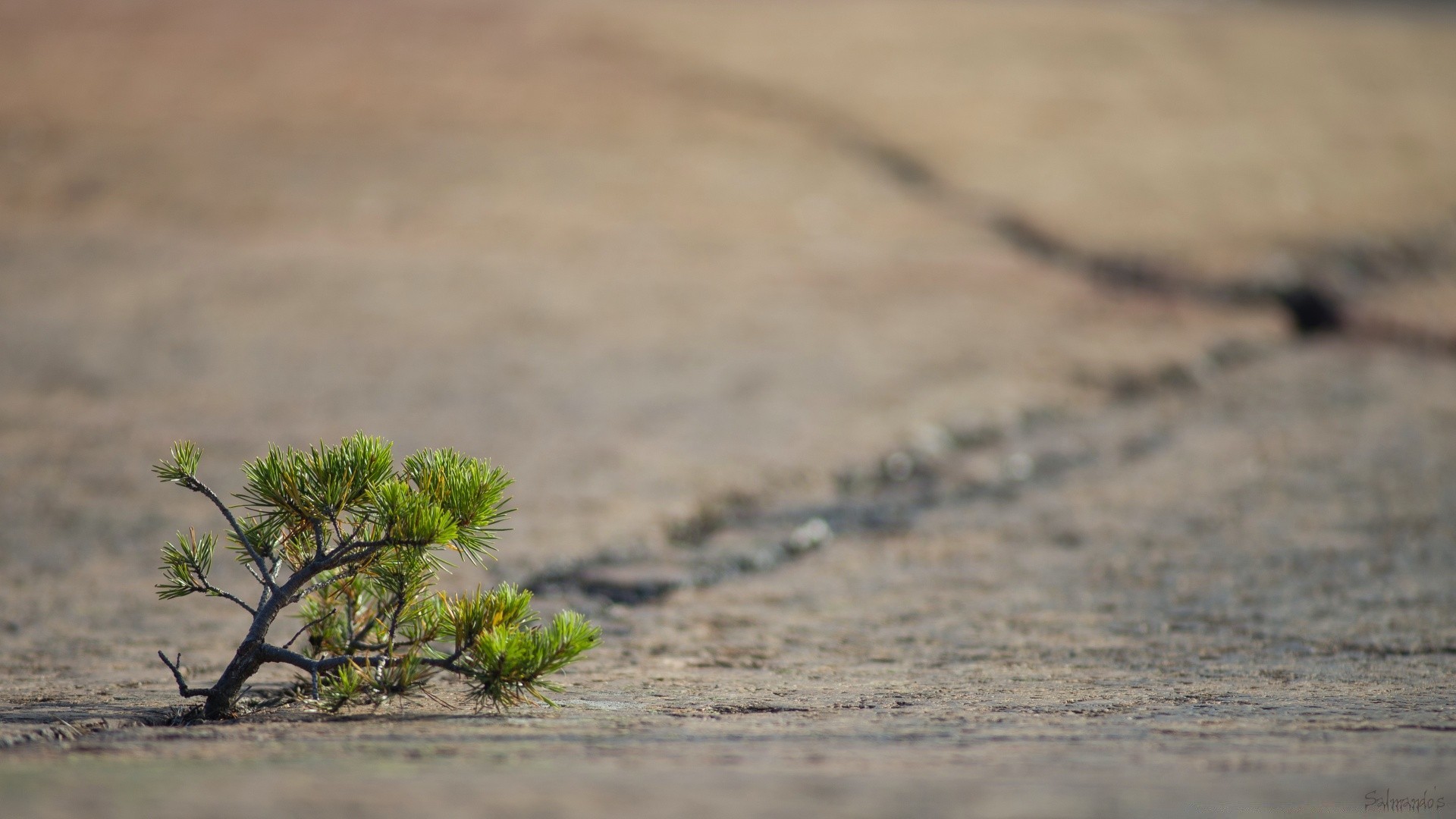 macro beach sand desert water nature seashore landscape sea ocean shore outdoors travel fair weather dry summer vacation sun