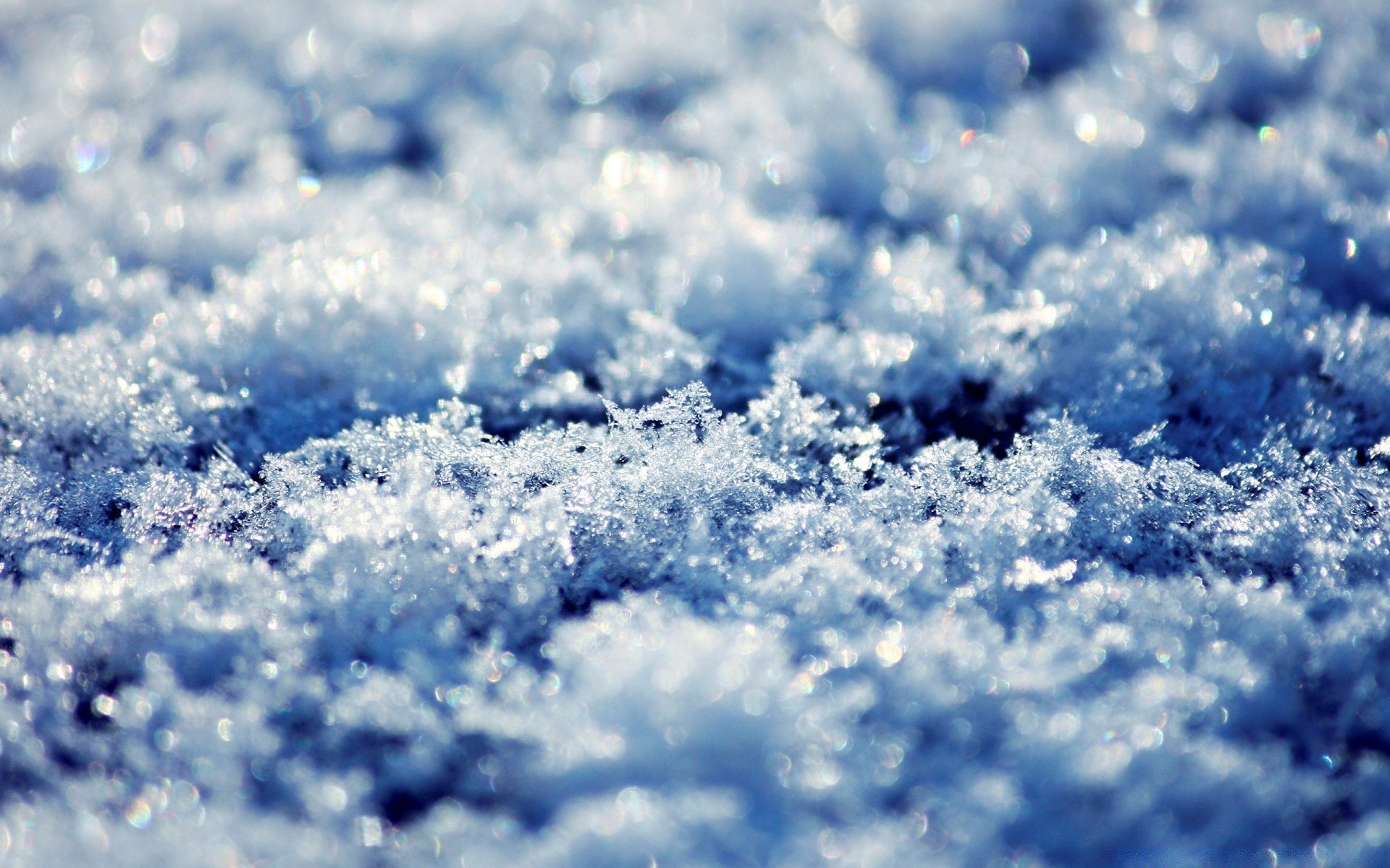 微距摄影 自然 冬天 雪 好天气 天气 霜冻 户外 天空 明亮 太阳 夏天 冰 蓝天 寒冷 季节 景观 桌面 抽象 颜色