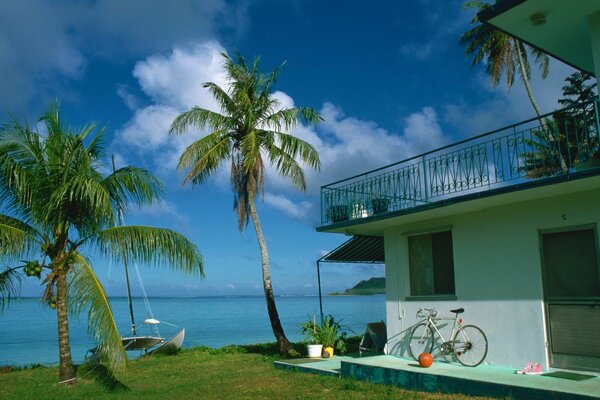 Landscape of a tropical resort with a beach