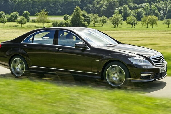 Une Mercedes noire Monte à travers un champ vert