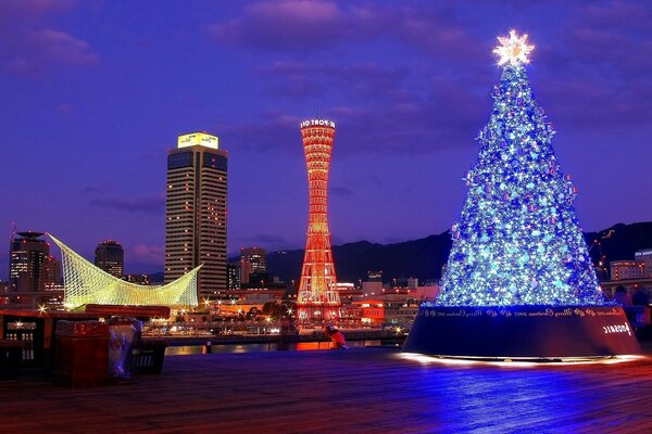 Weihnachtsbaum auf Architekturhintergrund