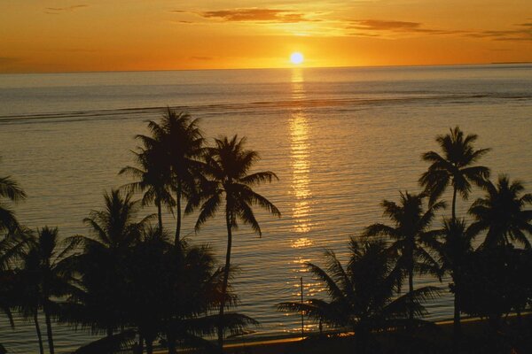 Tramonto tropicale, spiaggia di sabbia