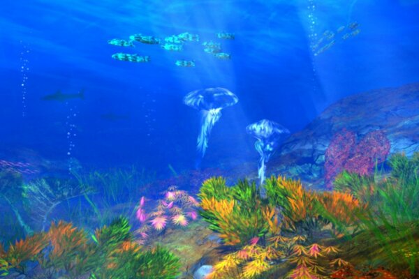 Подводный мир рыбы медузы