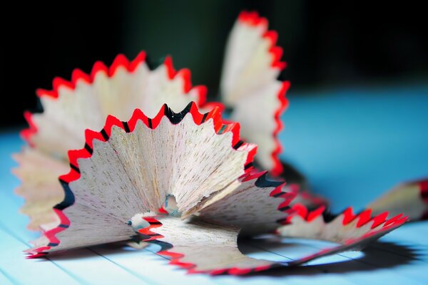 Macro photography of pencil fragments after the sharpener