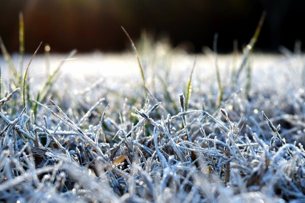 Nature is very beautiful snowy winter