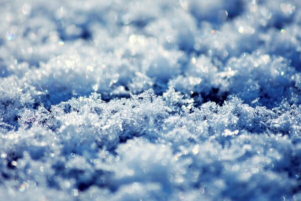 Fragile crystals of snow in the sunlight