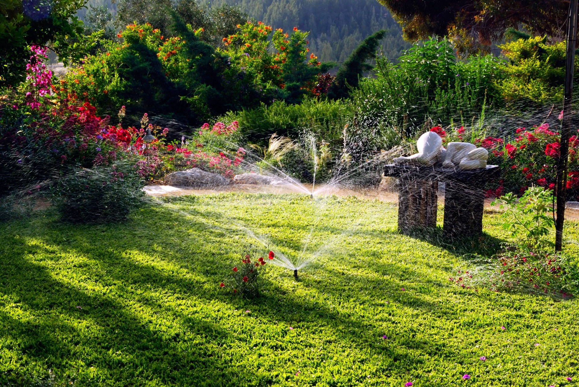 paisaje flor jardín hierba naturaleza árbol paisaje parque césped verano al aire libre flora hoja