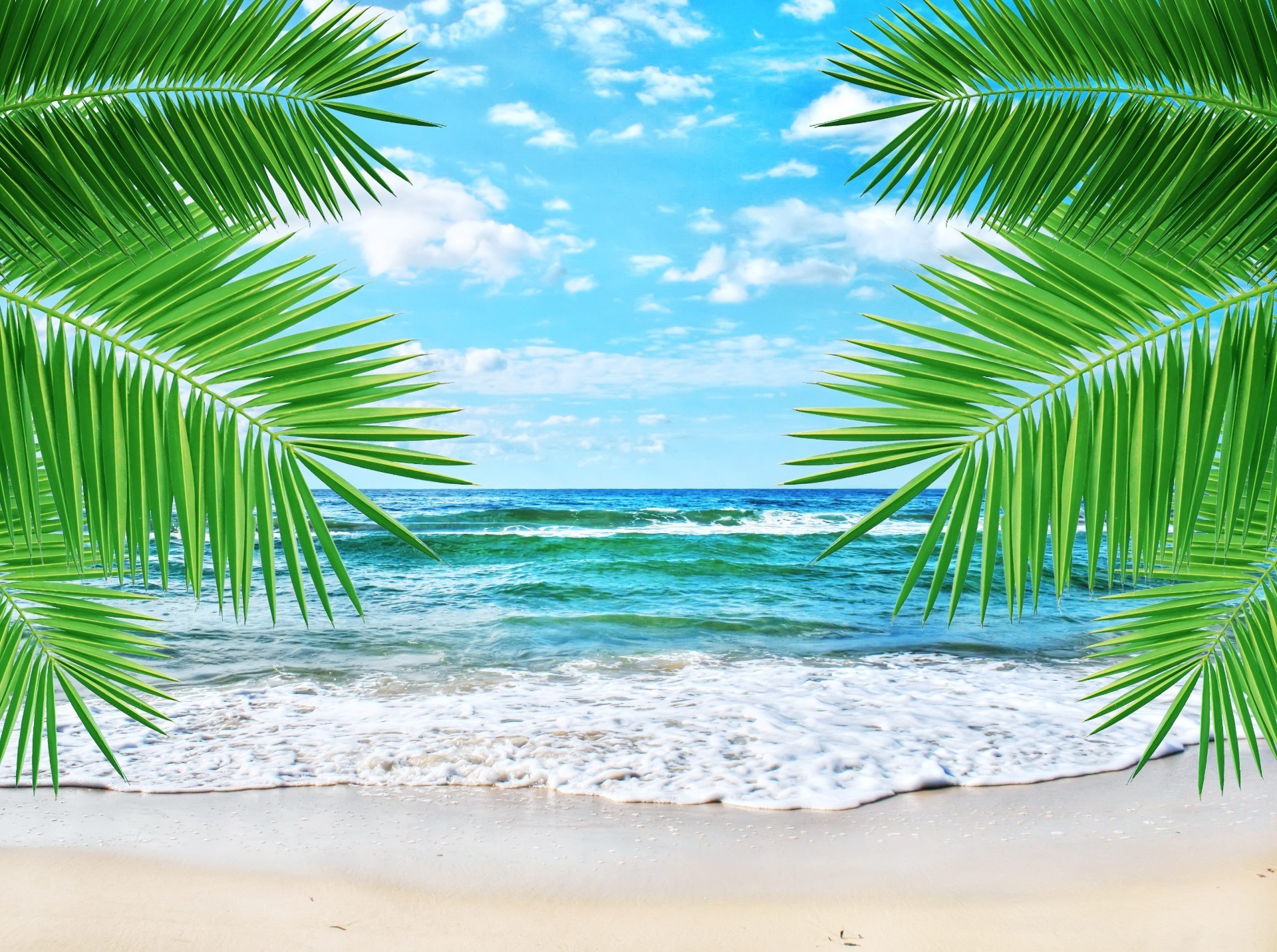 palm trees and tropical tropical beach summer sand palm paradise island sun exotic coconut vacation seashore resort turquoise ocean relaxation idyllic nature seascape water