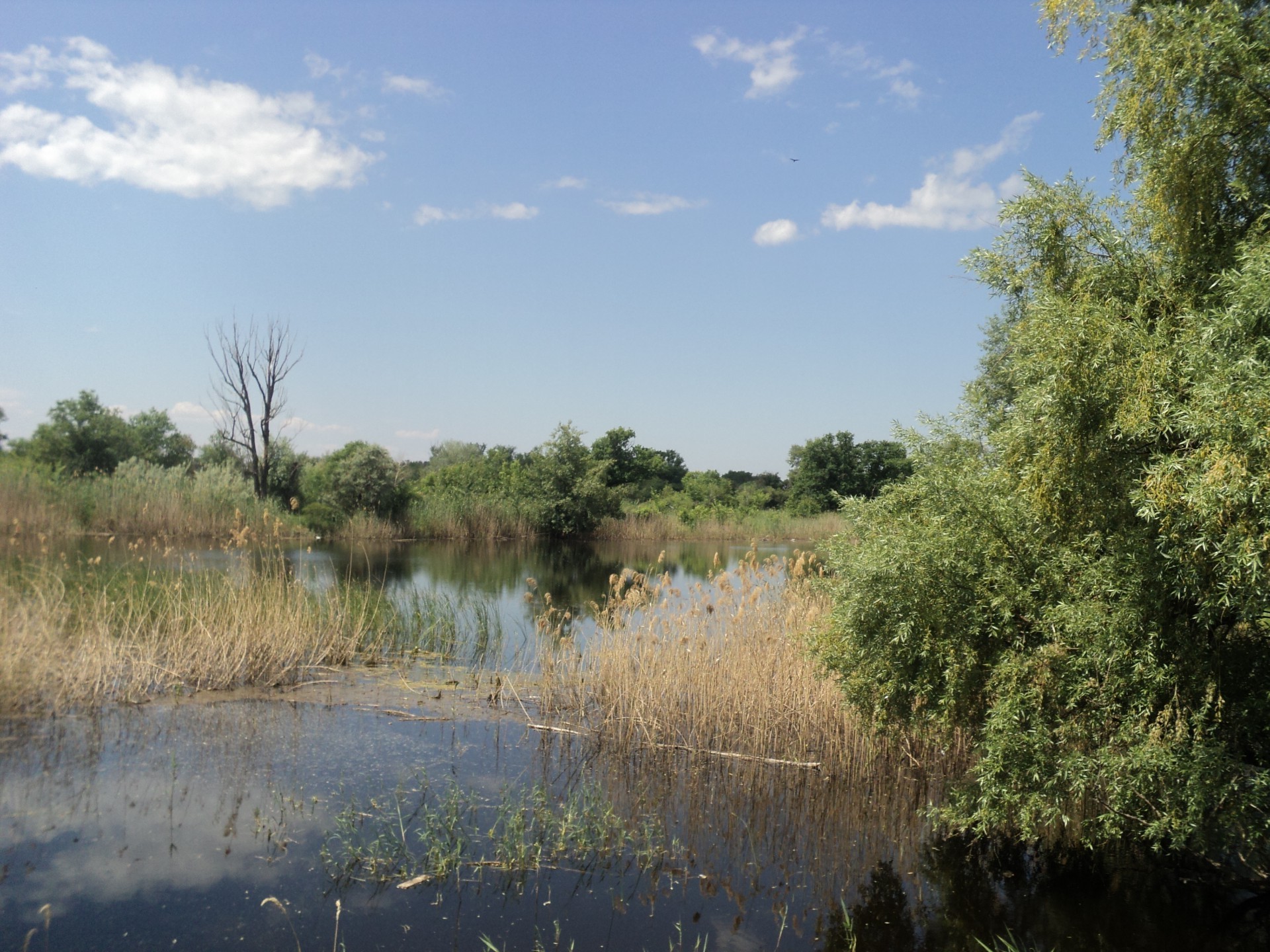 весна дерево води пейзаж природа річка на відкритому повітрі небо відображення озеро деревини трава середовища басейн літо подорожі гарну погоду