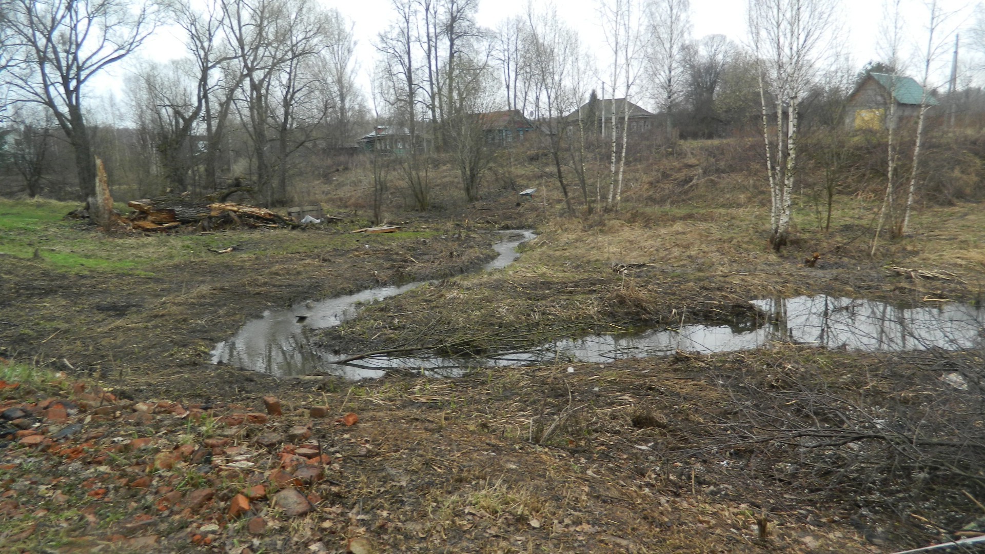 native open spaces water nature landscape environment flood fall wood stream outdoors tree river calamity winter weather leaf travel