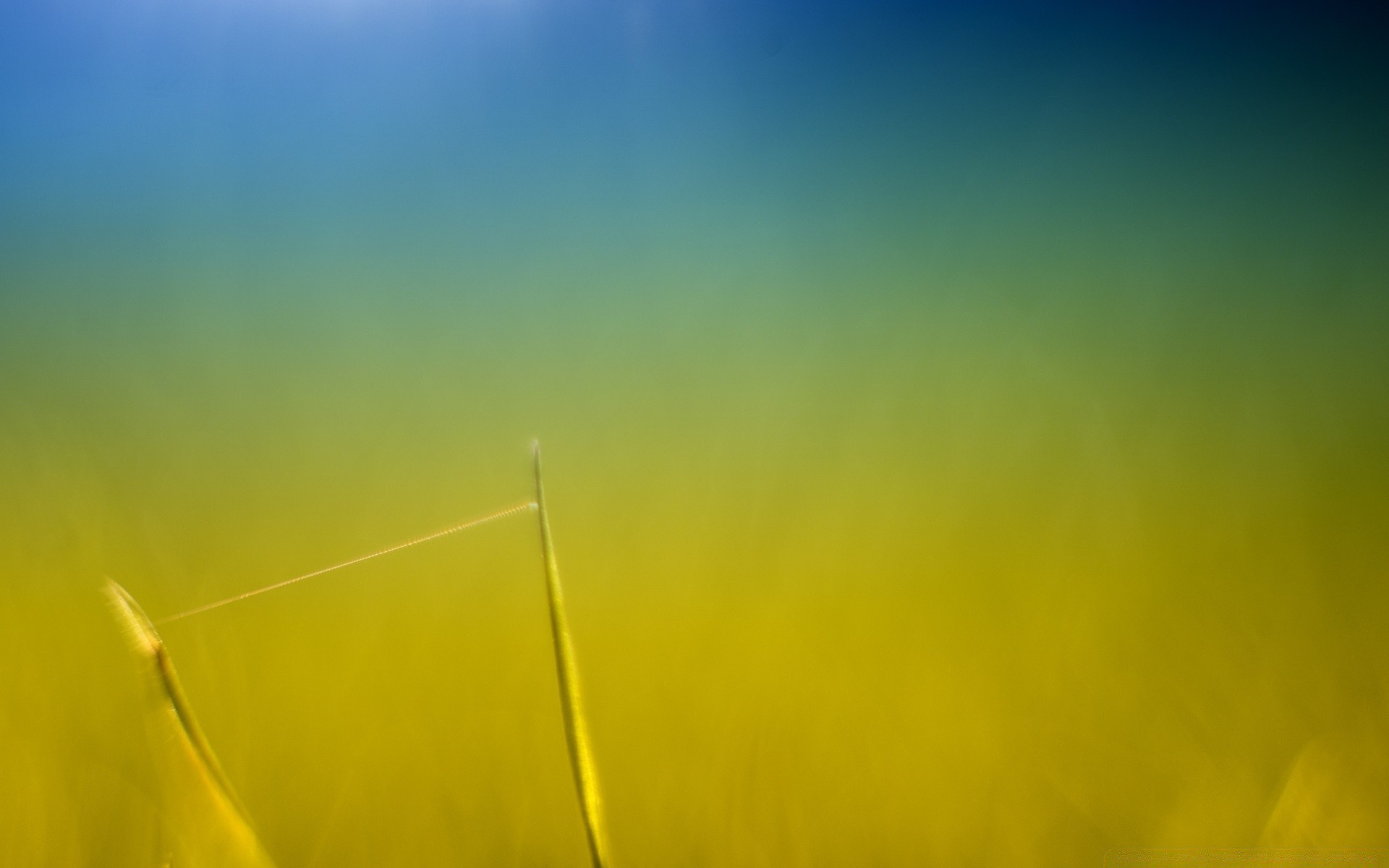 makro unschärfe abstrakt sonne natur licht landschaft himmel gutes wetter desktop sommer farbe sonnenuntergang dämmerung