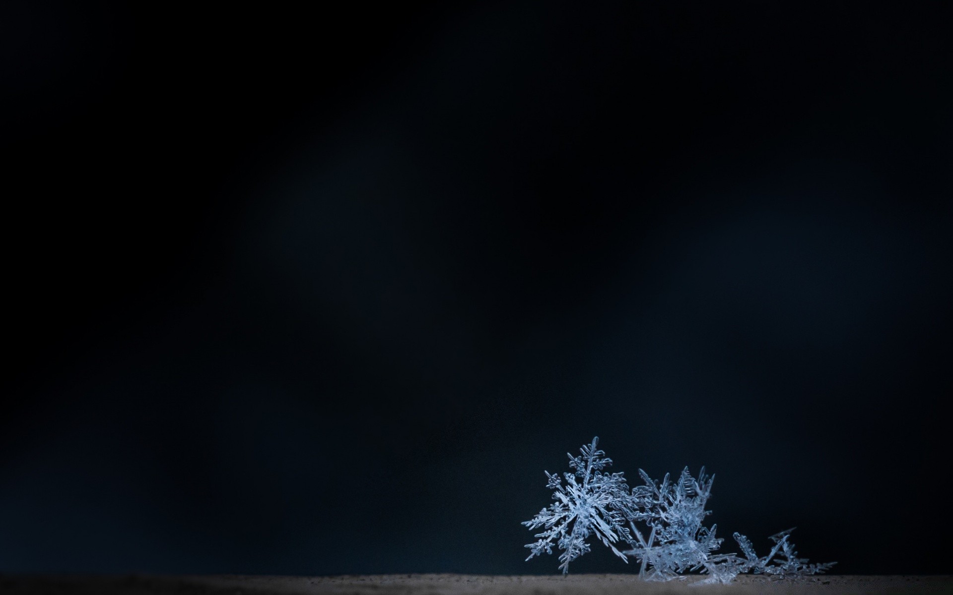 macro sky desktop abstract moon landscape dark nature bird outdoors light astronomy art winter texture graphic luna color silhouette space