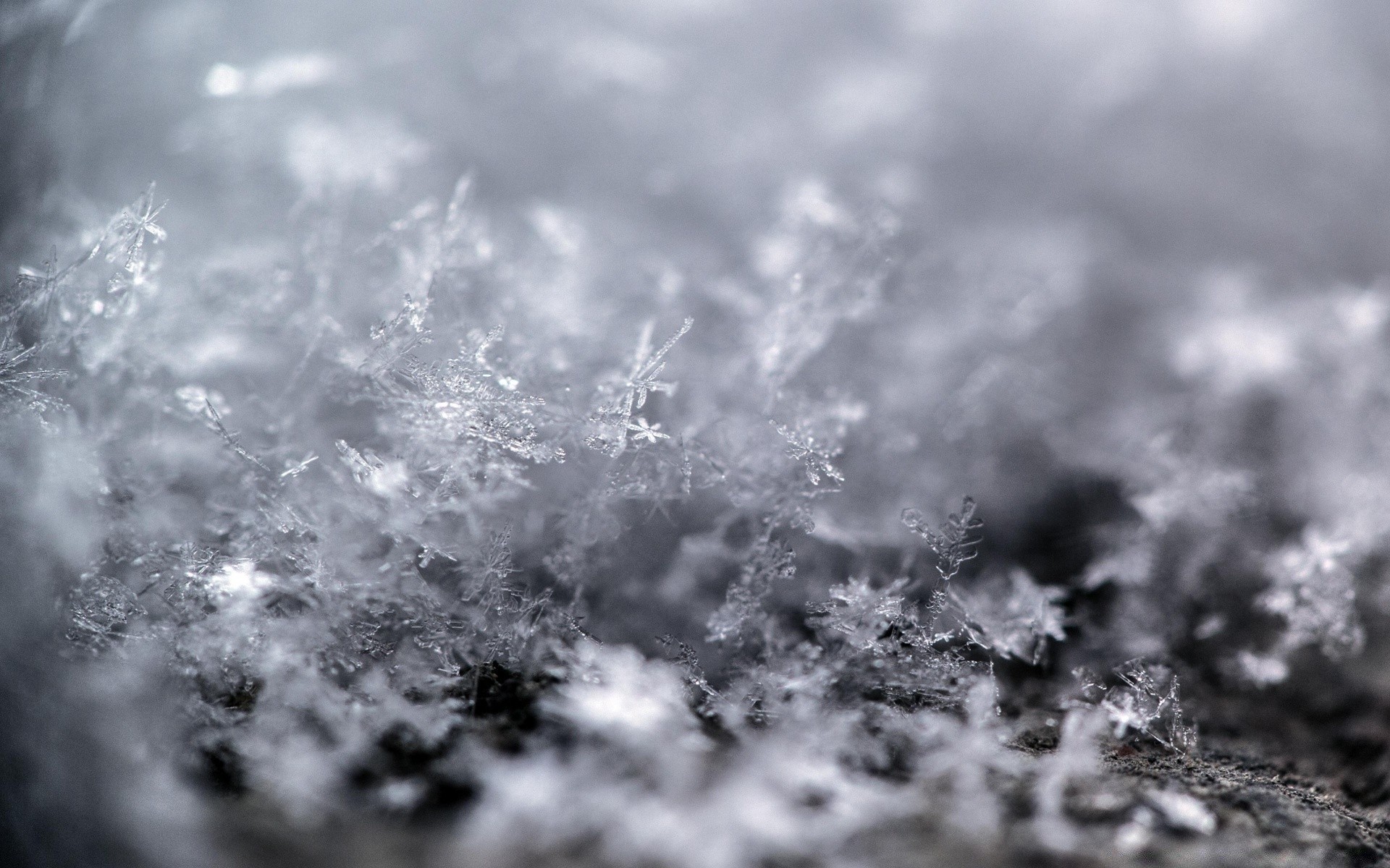 macro winter snow nature abstract frost christmas desktop cold bright ice monochrome sky shining glisten sun