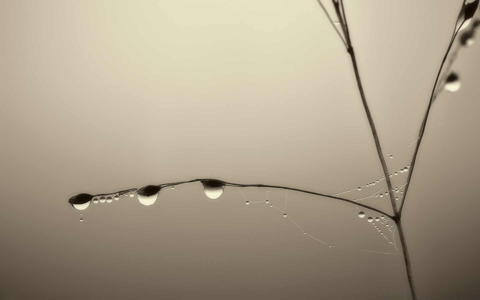 macro monochrome drop rain water abstract dew reflection still life nature art glass droplet winter cold black and white wet desktop splash color