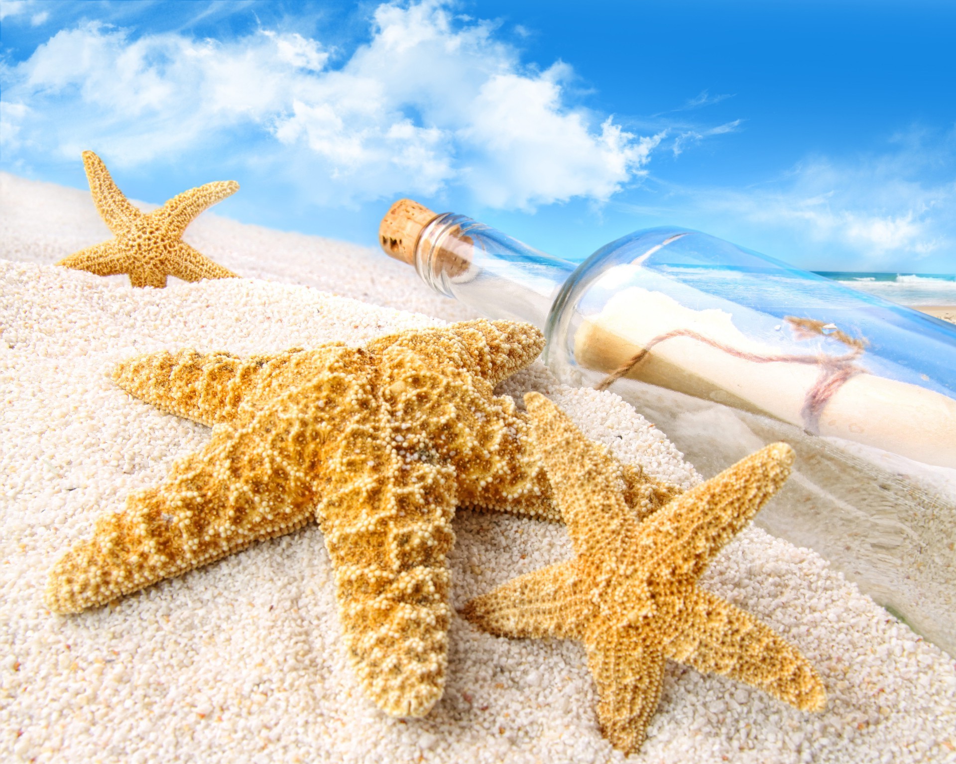 landscapes starfish seashell shell beach sand sea seashore ocean tropical marine nature summer conch vacation desktop gold shore travel seaside echinoderm