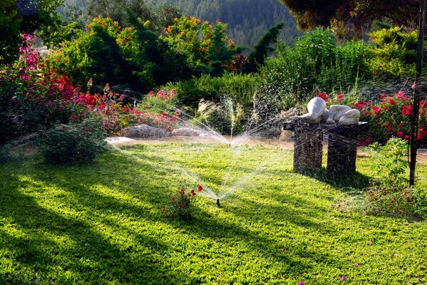 Salpicaduras de agua en un hermoso Jardín con flores brillantes