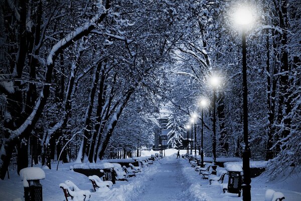 Winter alley is illuminated by lanterns