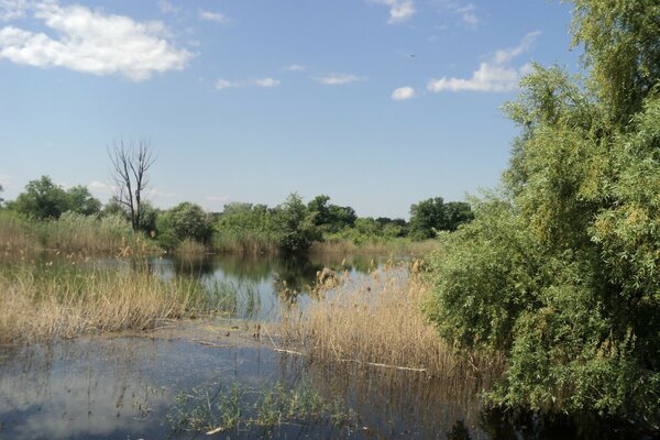 Spring landscape in the rural wilderness