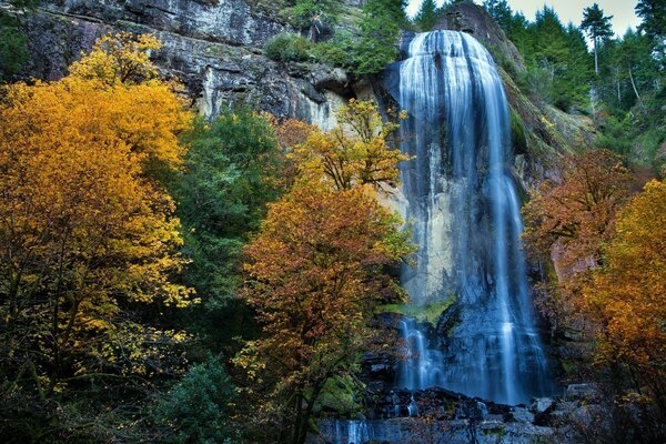 Großer Wasserfall unter gelbem Laub