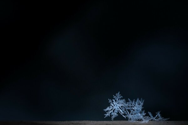 Por la noche, la Luna ilumina los copos de nieve