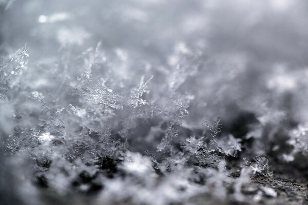 Kristallwinter mit schönen Schneeflocken