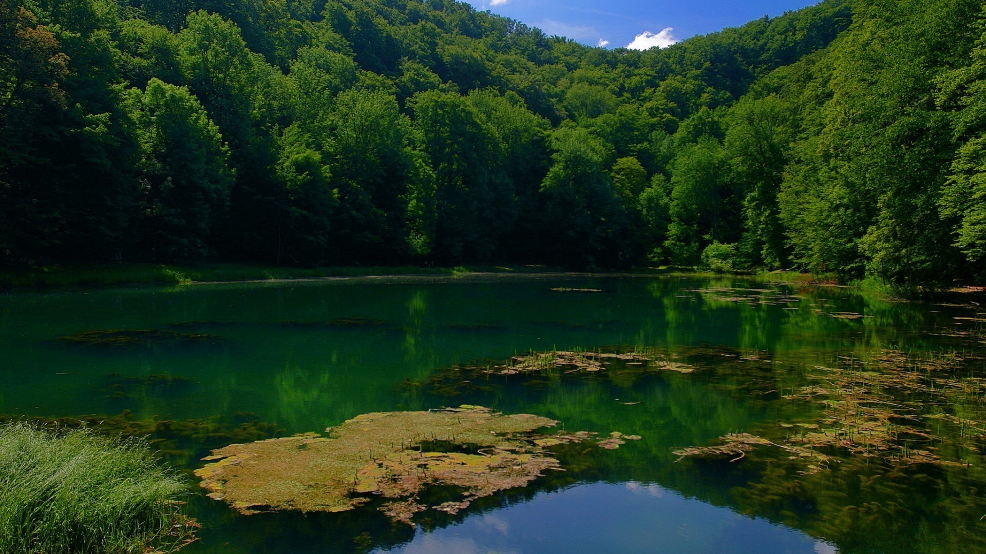 lac eau nature paysage rivière voyage en plein air bois bois été réflexion ciel scénique montagnes lumière du jour