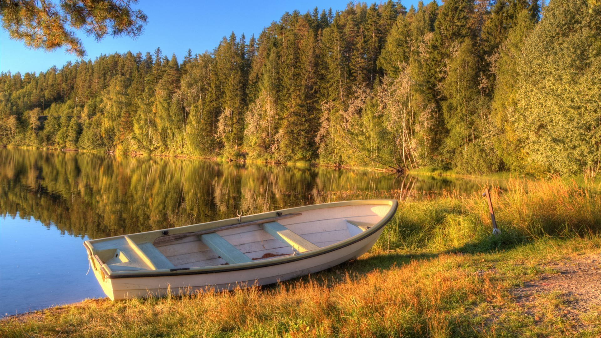 jesień drewno drzewo natura krajobraz jezioro na zewnątrz podróży jesień malownicze niebo woda trawa światło dzienne rzeka góry wiejskie