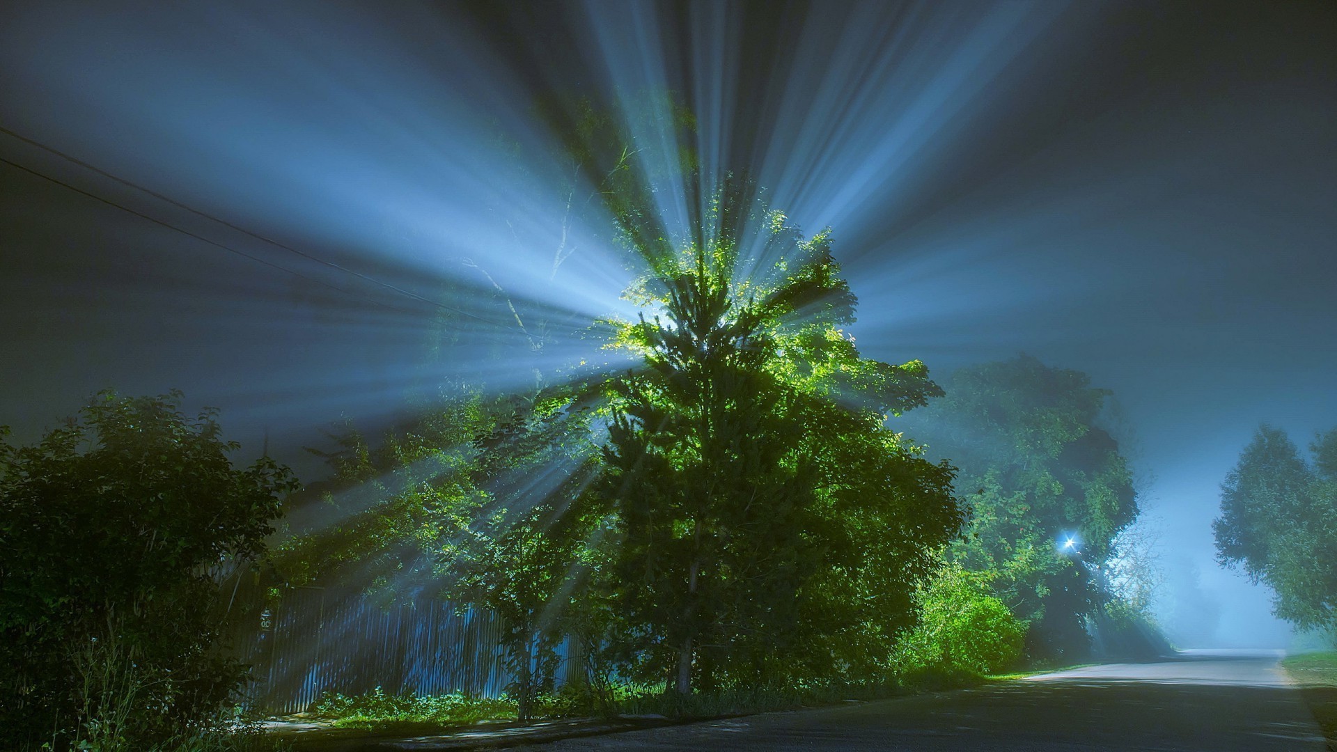 夜 黄昏暮光 黄昏暮光 自然 太阳 光 景观 好天气 模糊