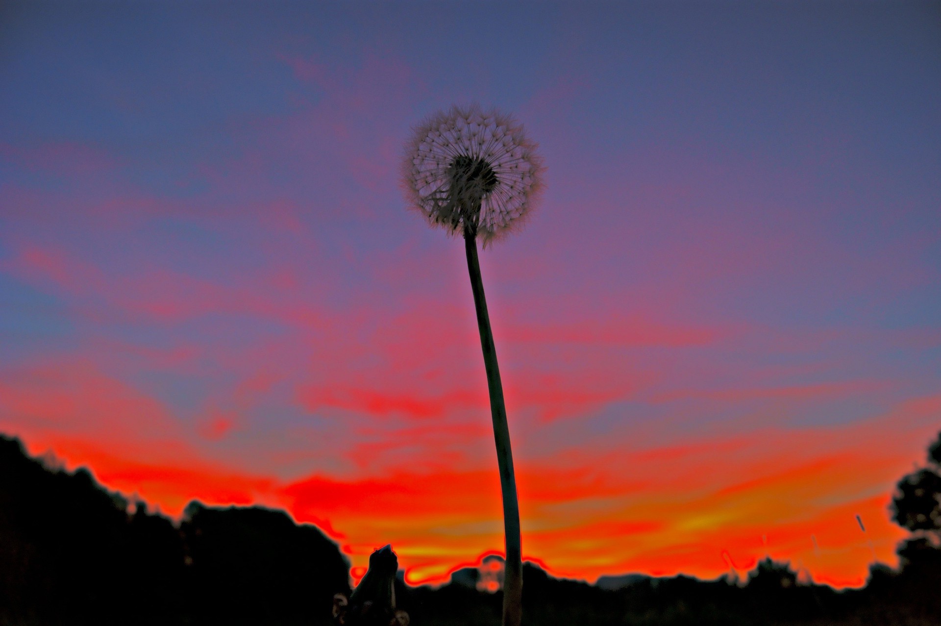 tramonto e alba tramonto cielo sole alba natura all aperto silhouette paesaggio sera crepuscolo luce bel tempo