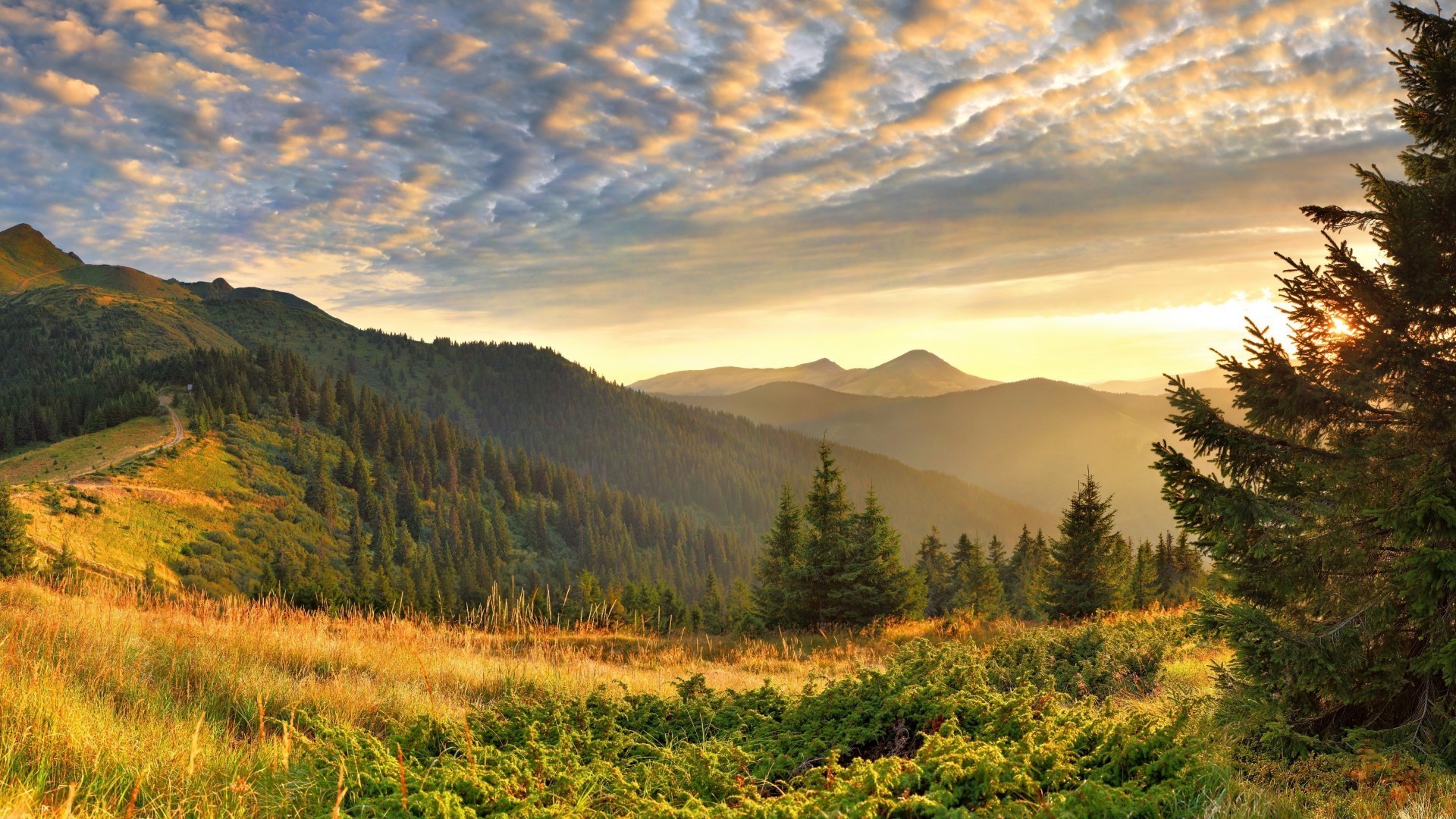 zachód słońca i świt natura krajobraz na zewnątrz zachód słońca jesień góry podróże świt niebo drzewo drewno mgła dobra pogoda śnieg wieczorem