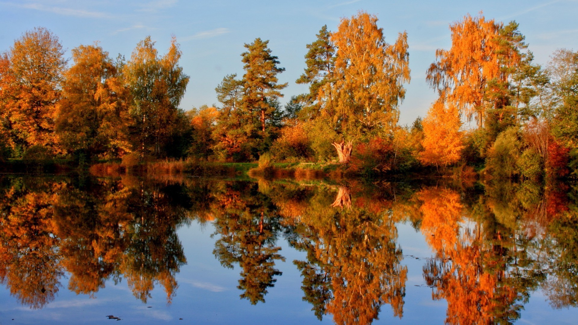 lake fall leaf tree nature wood outdoors landscape season bright fair weather water scenic maple park sky dawn composure branch