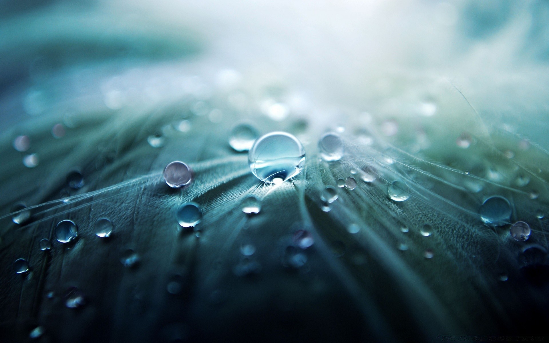 fotografia macro chuva queda gotas orvalho molhado água clara reflexão respingo claro turquesa líquido bolha vertedouro gotejamento desktop resumo luz lavar brilha