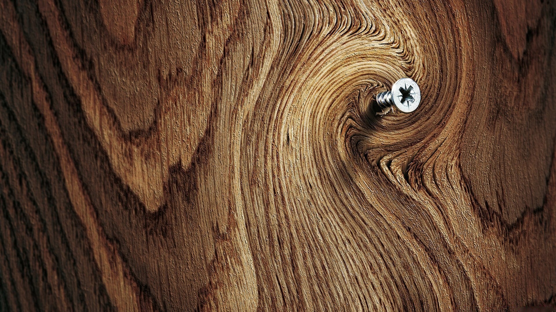 fotografia macro log madeira tecido padrão de madeira textura áspero de madeira carpinteiro madeira pinho desktop carvalho superfície grão chão parede painel