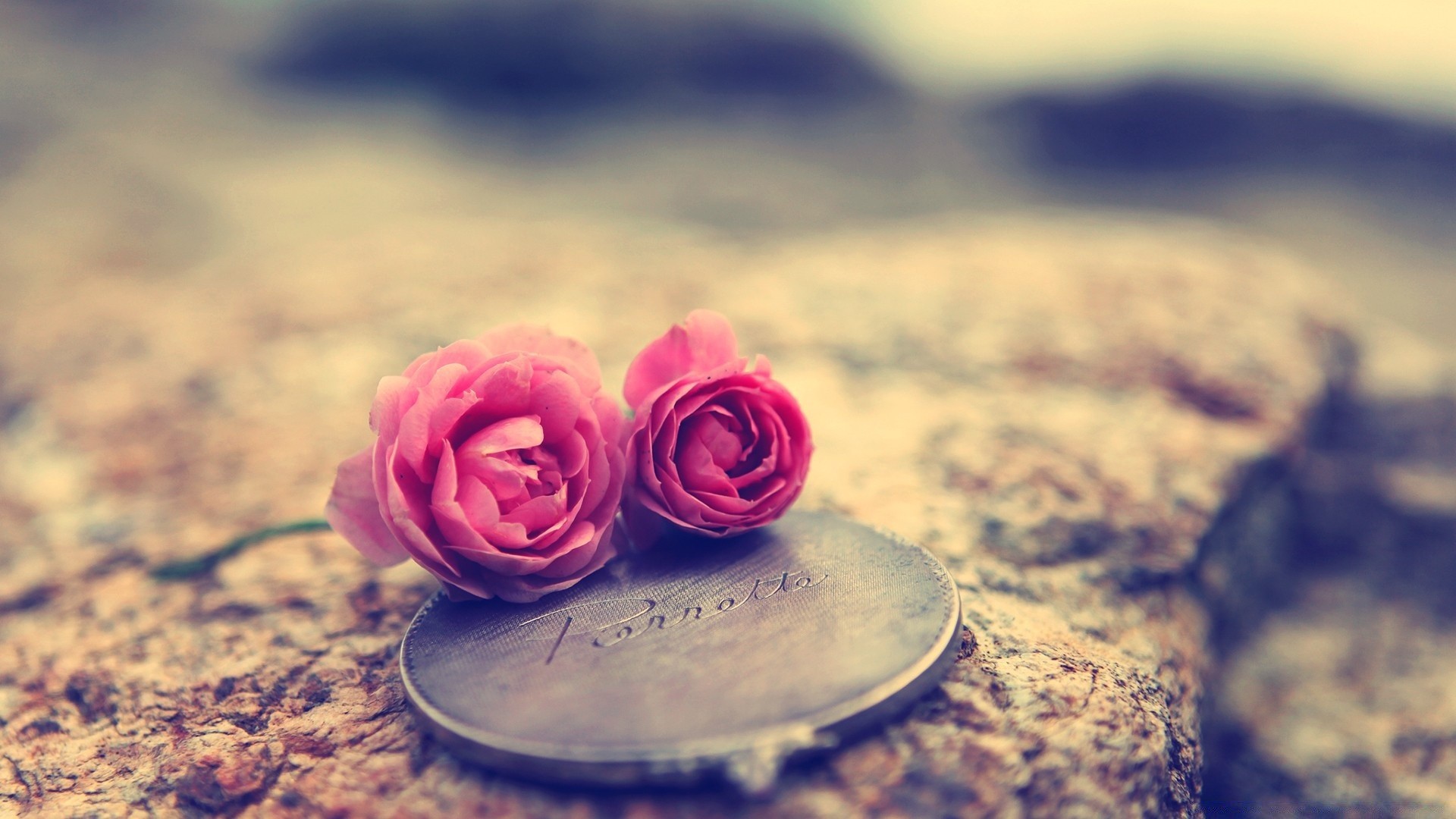 macro flor romance amor romántico rosa boda naturaleza verano escritorio vacaciones hermosa