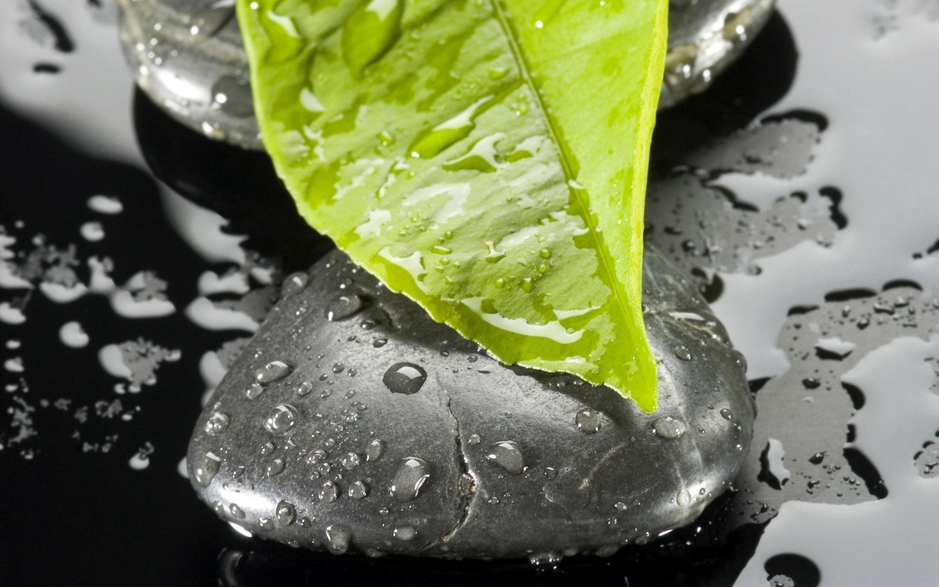 macro water drop wet rain health bubble food healthy drink liquid clean leaf cold freshness droplet clear glass purity