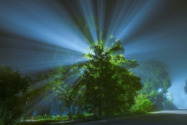 Schöne Natur in den Strahlen der Abenddämmerung