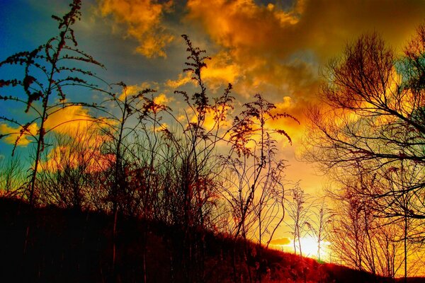 Beau coucher de soleil sur la nature