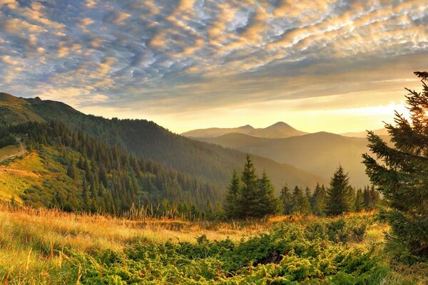 Bela natureza serena da montanha