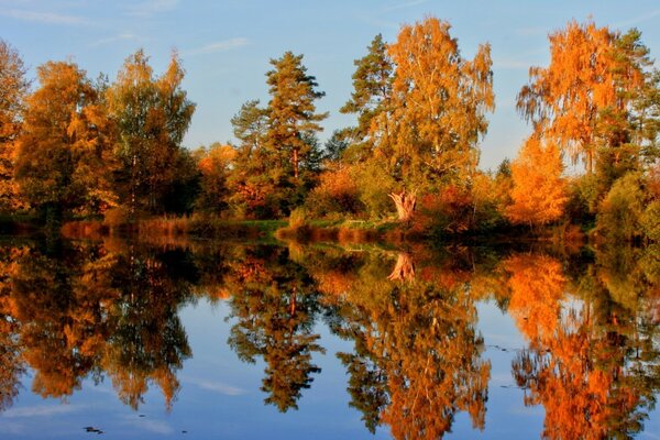 Bild von Herbstwald und See