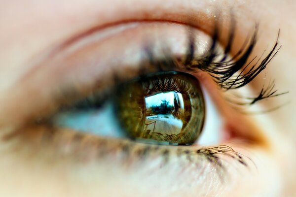 Gros plan des yeux de la jeune fille sur fond flou