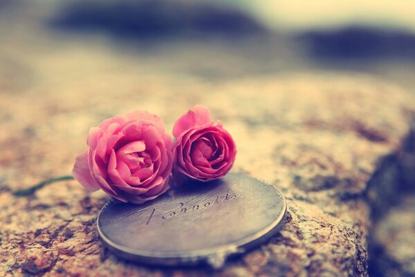 Foto en las piedras medallón grabado rosa pequeñas flores