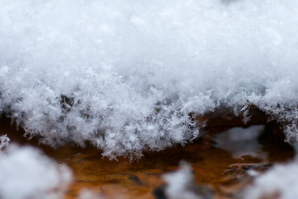 Makro-Kamera. Der erste Schnee. Wasser